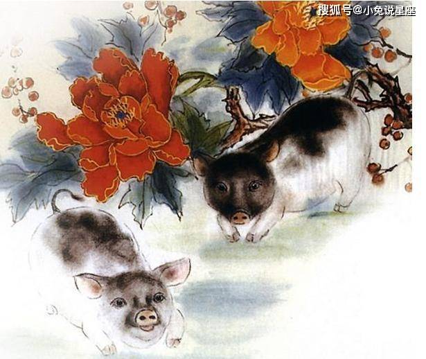 日落西山遇神仙,红波当旺四十来是什么生肖，全面释义、构建解答解释落实